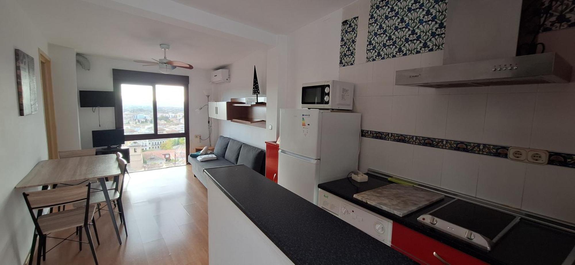 House Albaycin Apartment *